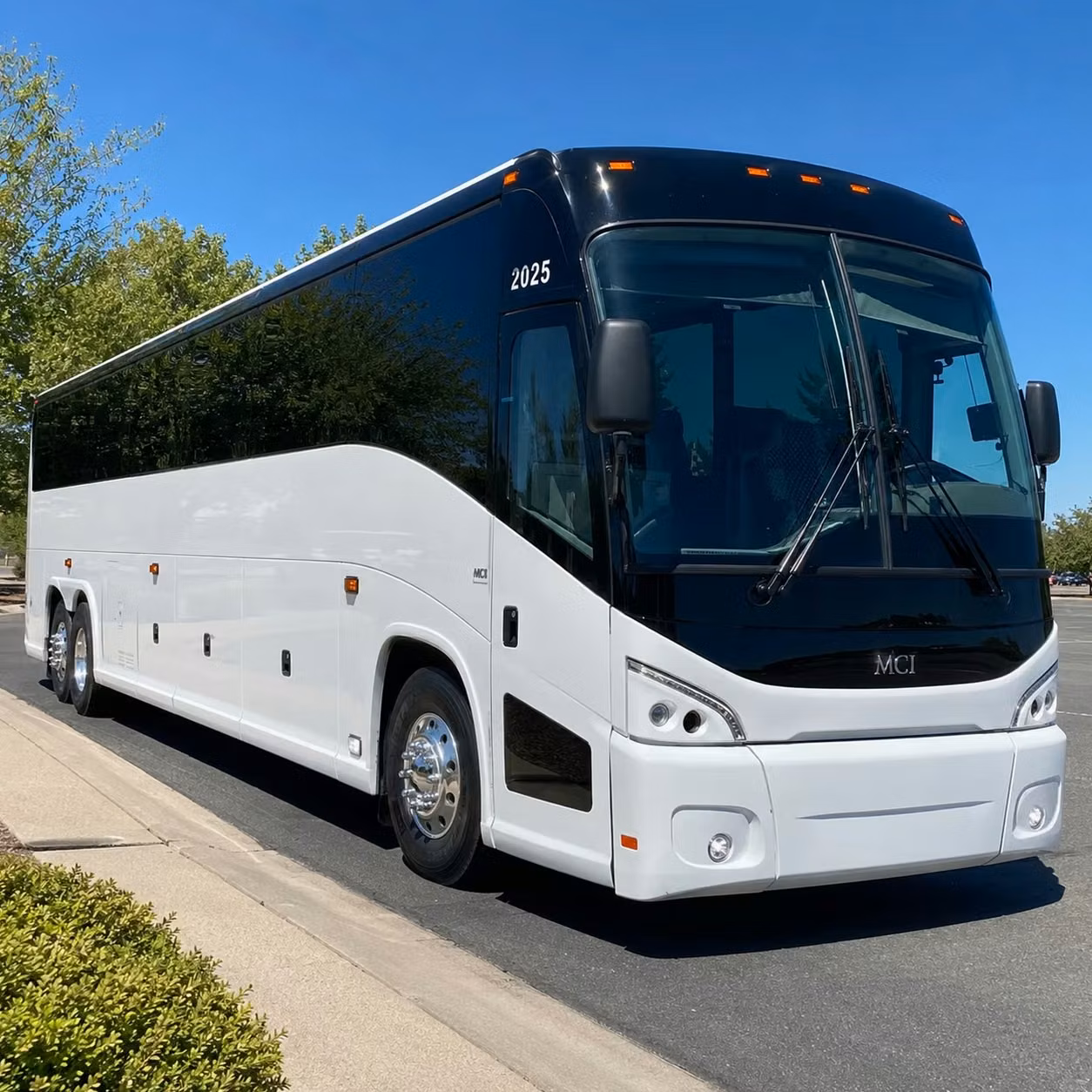 charterbuscarrollton com is the go to source for youth group transportation in carrollton